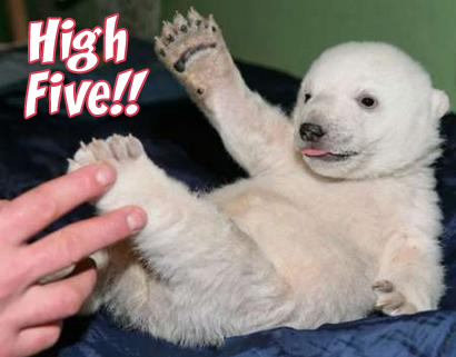 high five