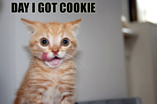 day i got cookie