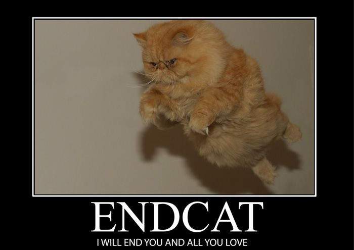 end cat