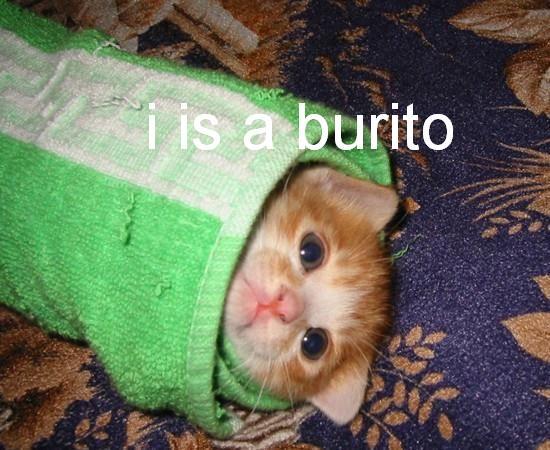 i is burito