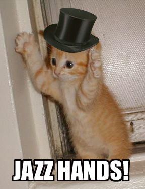 jazz cat