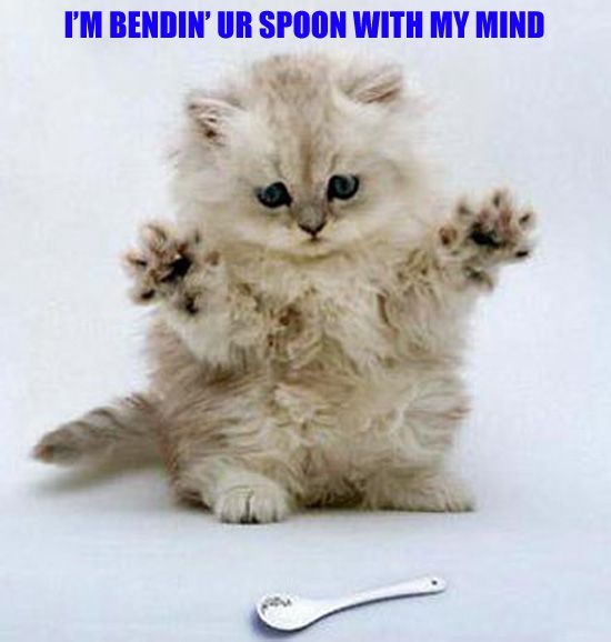 mental_cat.jpg