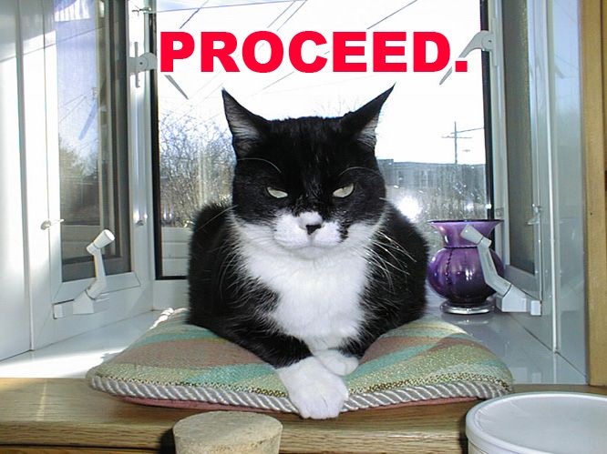 proceed cat