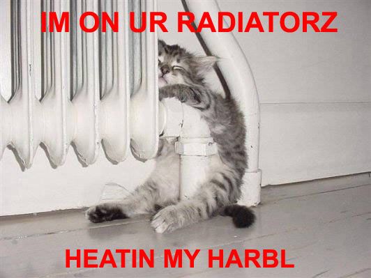 radiatorz