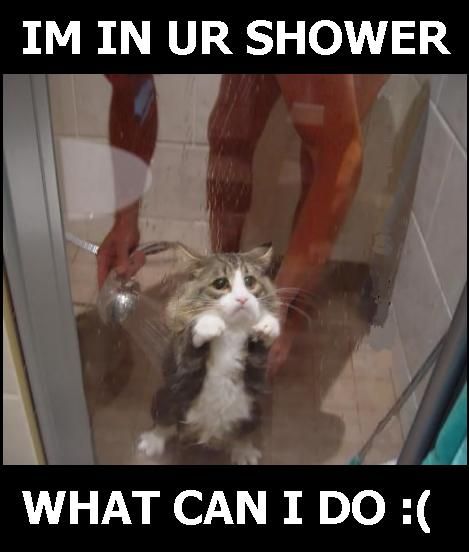 shower