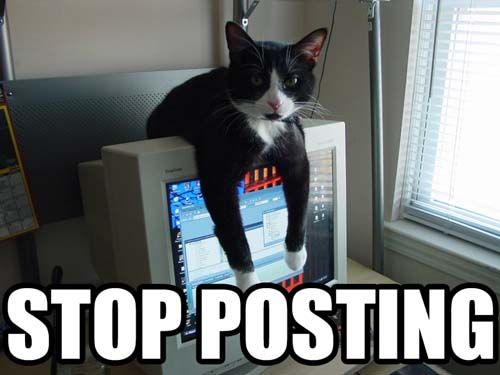 stop_posting_cat.jpg