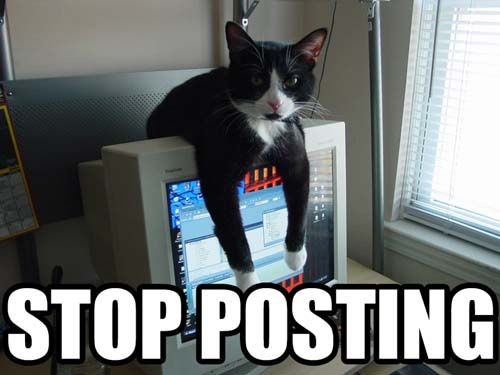 stop posting cat