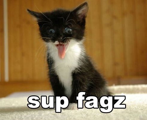 sup fagz cat