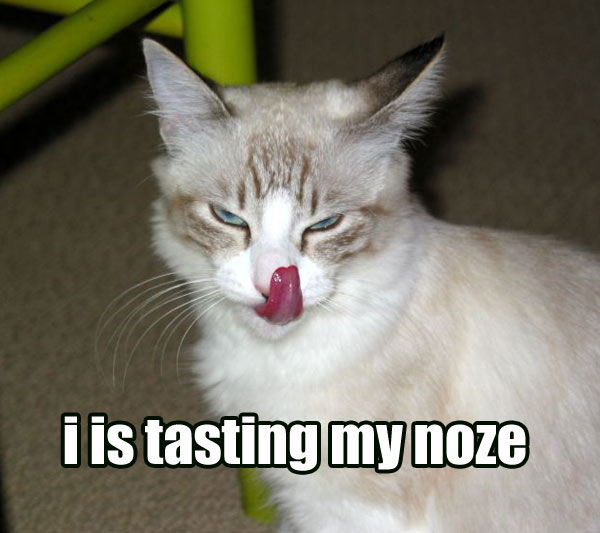 tasting my noze