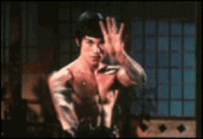 bruce lee