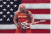 hulkster