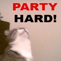 [Image: party_hard_cat.gif]