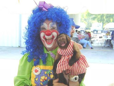 Clown and Monkey