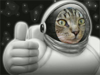 space_cat.jpg