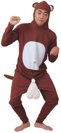 Tanuki Costume