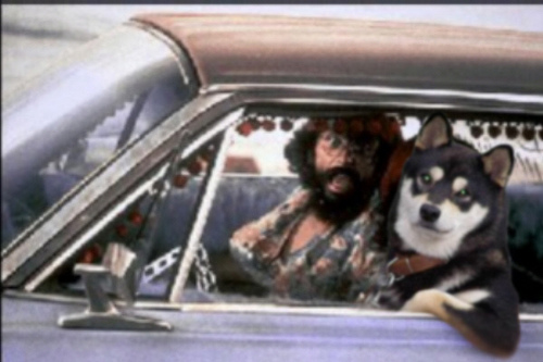 Cool Dog and Chong