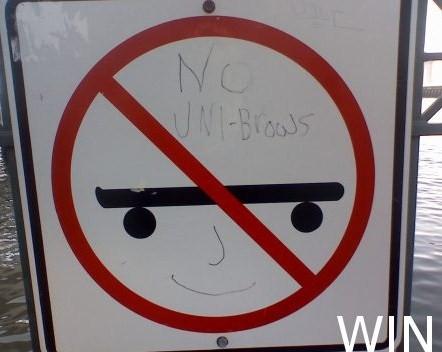 fail-owned-skateboard-unibrow-sign-win.j