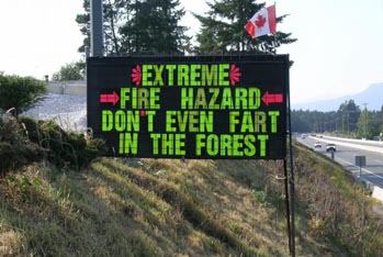 Forest Fires