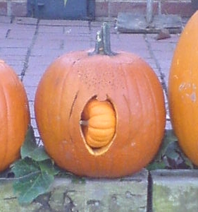 Pumpkin Birth