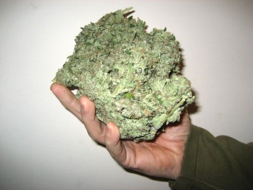 small_nug.jpg