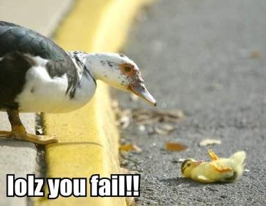 Duckling Failure