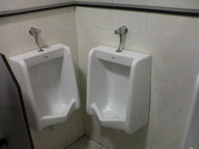 Urinal Fail