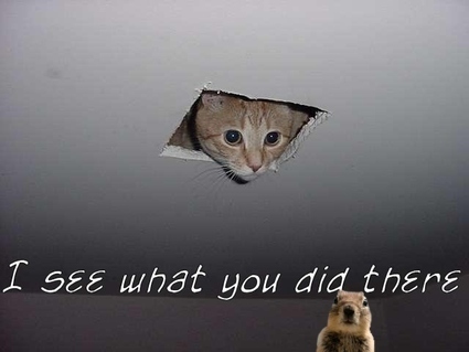 Image result for i see what you did there cat