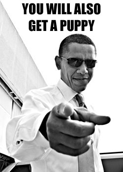 Obama Puppy