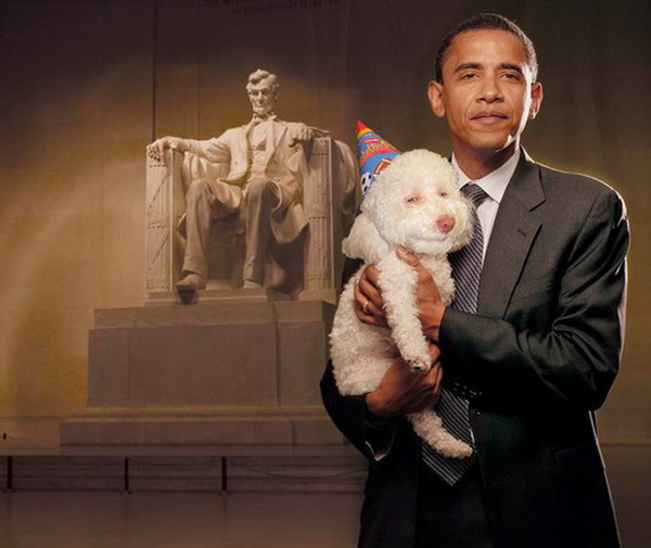 Obama's New Dog
