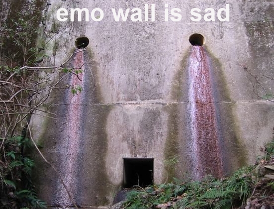 emo_wall.jpg