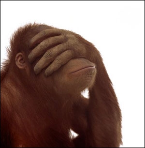 chimp facepalm