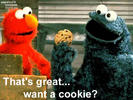 want a cookie?