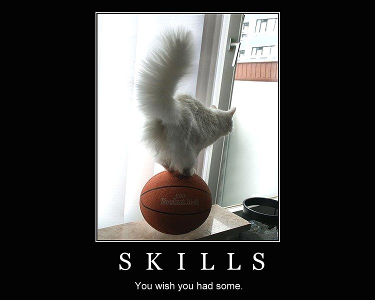 Skills