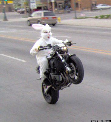 Easter Bunny Wheelie