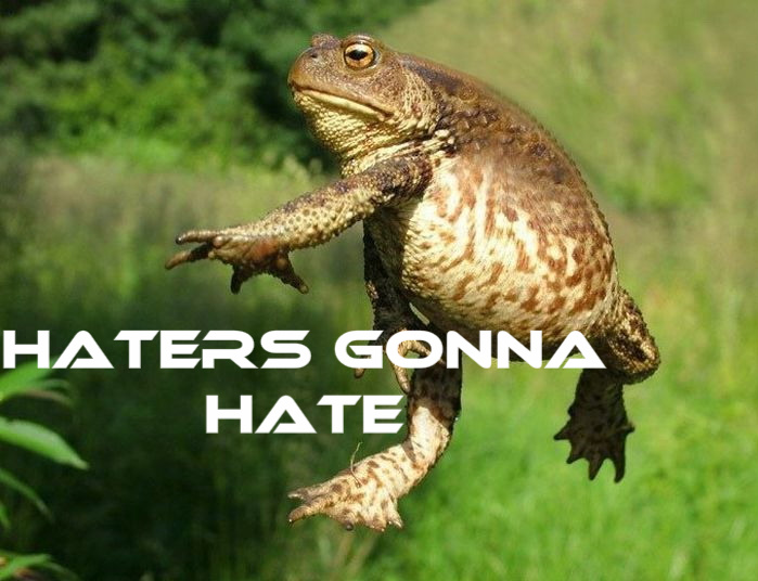 Haters gonna Hate