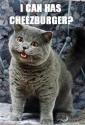 cheezburger cat