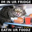 fridge