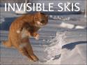 Invisible Skis
