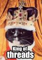 king cat