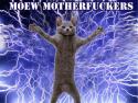 moew motherfuckers