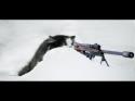 sniper cat