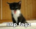 sup fagz cat