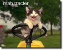 tracter cat