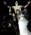 Metalcat