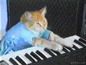 Keyboard Cat