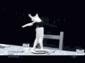 dancing cat