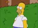 Homer Bushes