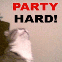Party Hard Cat
