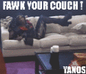 FAWK YO COUCH!