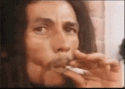 bob marley gif